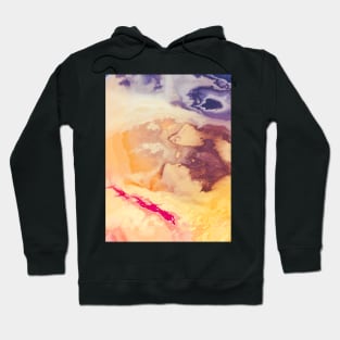 Acid Landscape 1 Hoodie